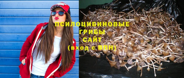 COCAINE Белокуриха