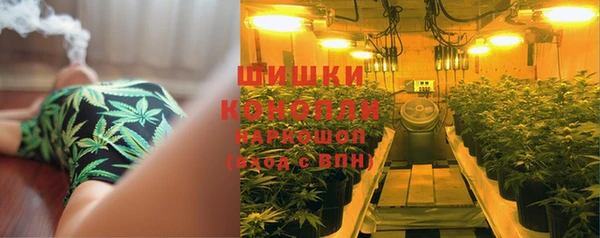 соль ск Медногорск